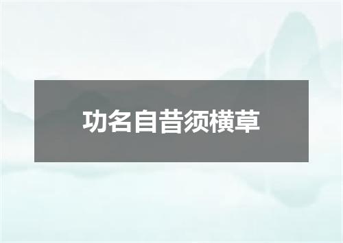 功名自昔须横草
