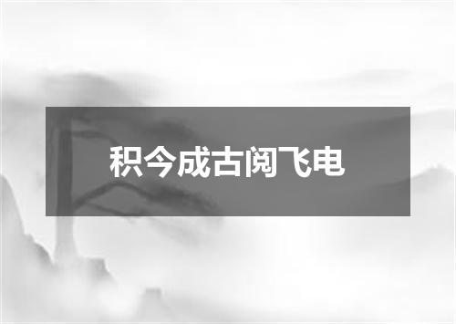 积今成古阅飞电