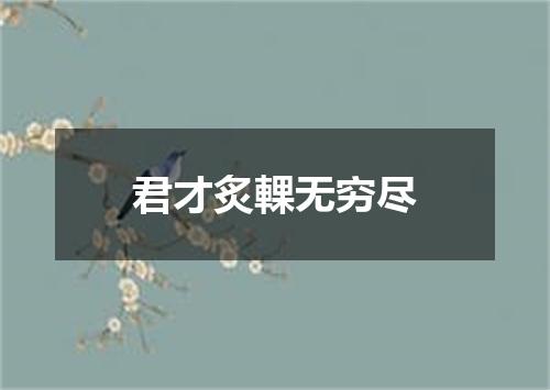 君才炙輠无穷尽
