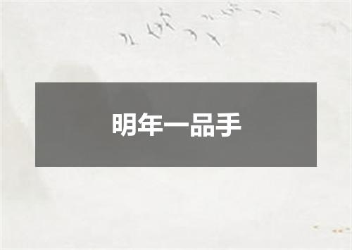 明年一品手