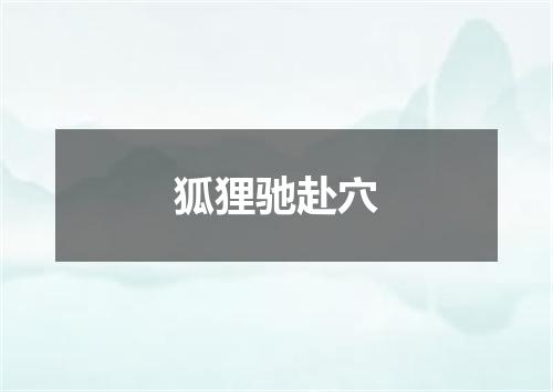 狐狸驰赴穴