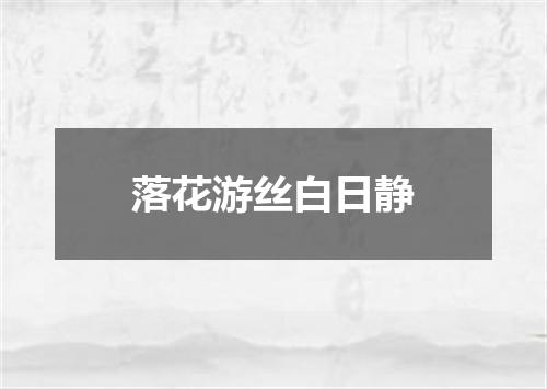 落花游丝白日静