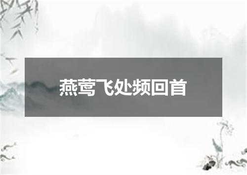 燕莺飞处频回首