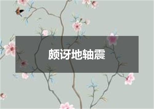 颇讶地轴震