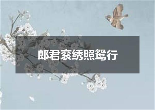 郎君衮绣照鸳行