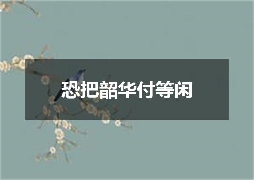 恐把韶华付等闲