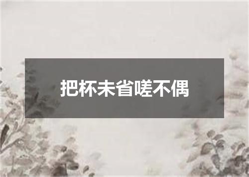 把杯未省嗟不偶