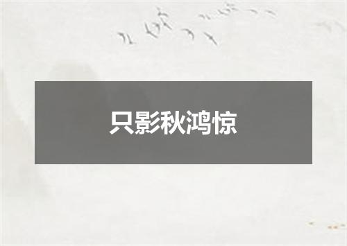 只影秋鸿惊
