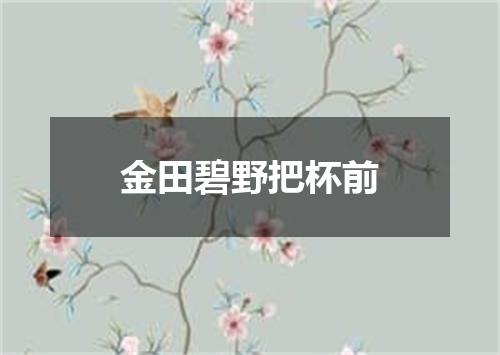 金田碧野把杯前
