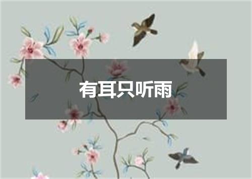 有耳只听雨