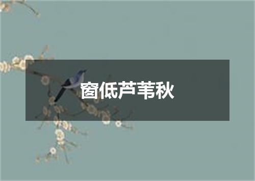 窗低芦苇秋