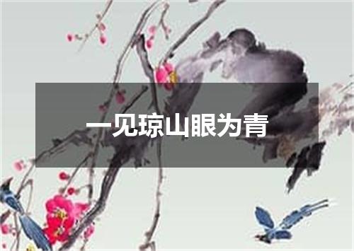 一见琼山眼为青