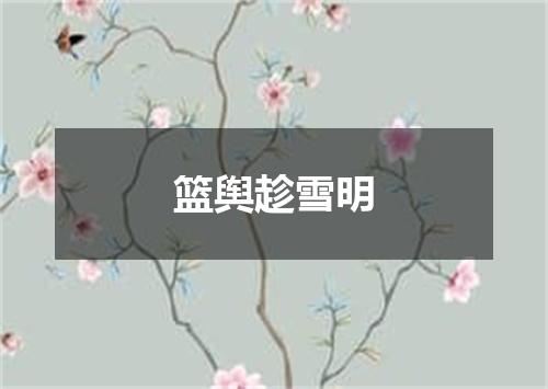 篮舆趁雪明