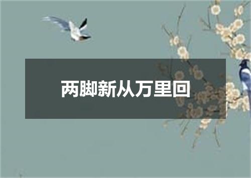 两脚新从万里回