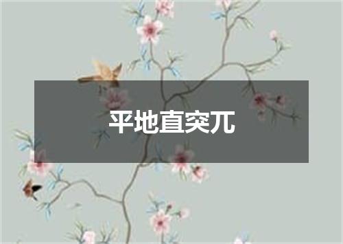 平地直突兀