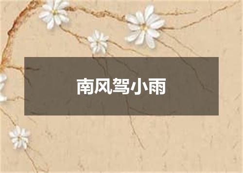 南风驾小雨