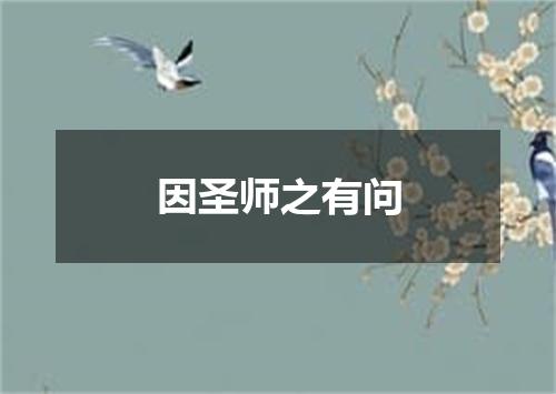 因圣师之有问