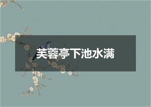 芙蓉亭下池水满