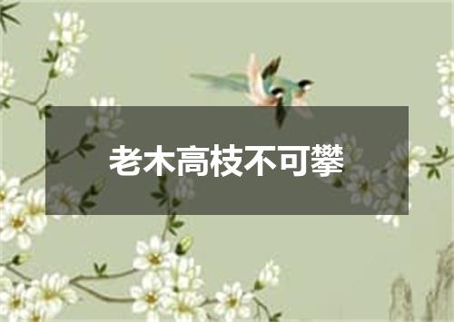 老木高枝不可攀