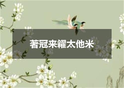 著冠来糴太他米