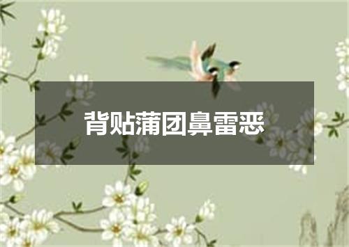 背贴蒲团鼻雷恶
