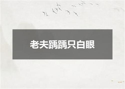 老夫踽踽只白眼