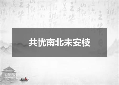共忧南北未安枝
