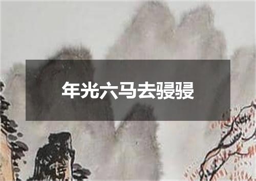 年光六马去骎骎