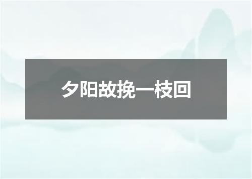 夕阳故挽一枝回