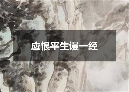 应恨平生谩一经