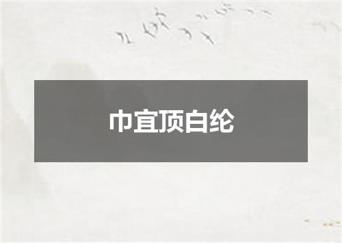 巾宜顶白纶
