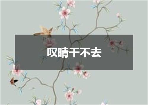 叹晴干不去