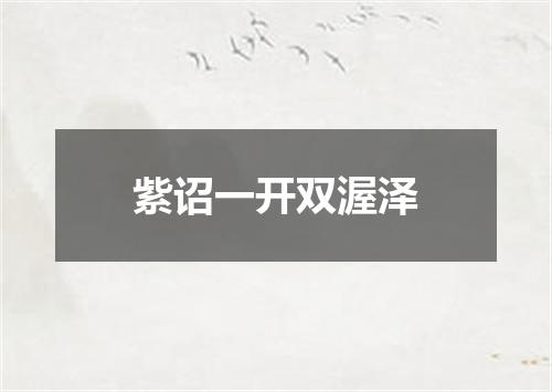 紫诏一开双渥泽