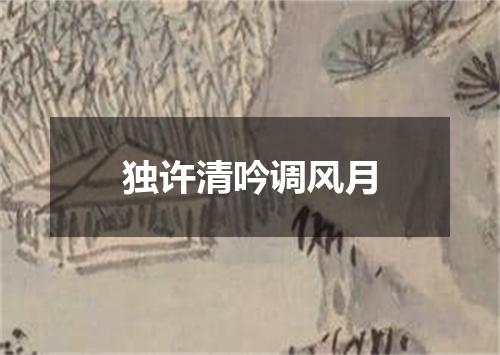 独许清吟调风月