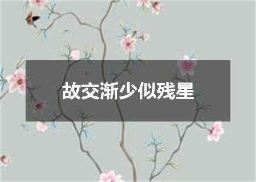 故交渐少似残星