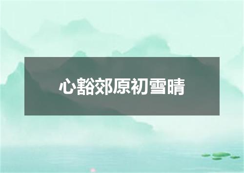 心豁郊原初雪晴
