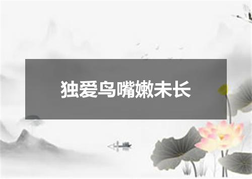 独爱鸟嘴嫩未长