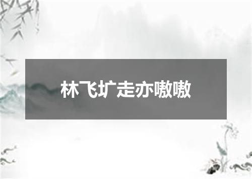 林飞圹走亦嗷嗷