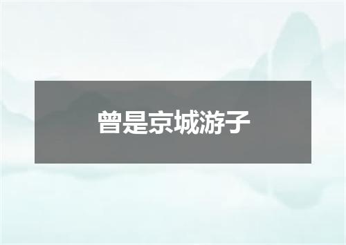 曾是京城游子