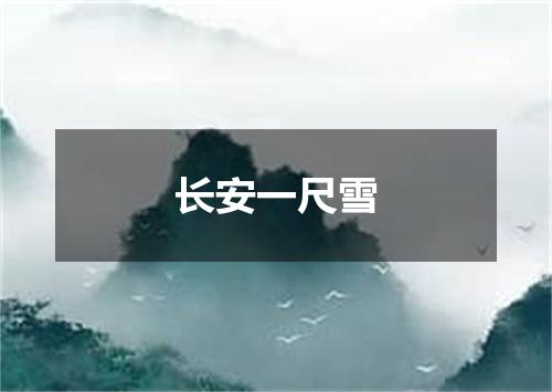 长安一尺雪