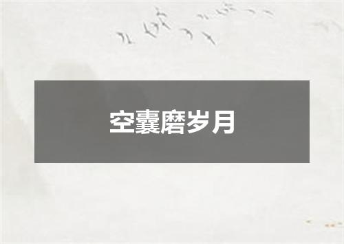 空囊磨岁月