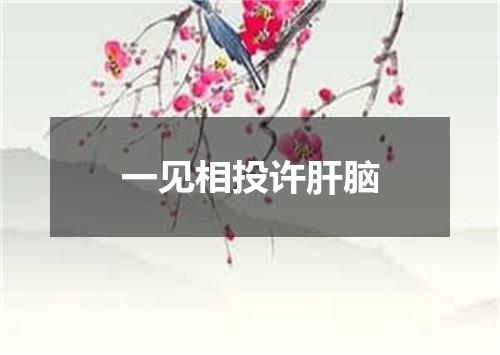 一见相投许肝脑