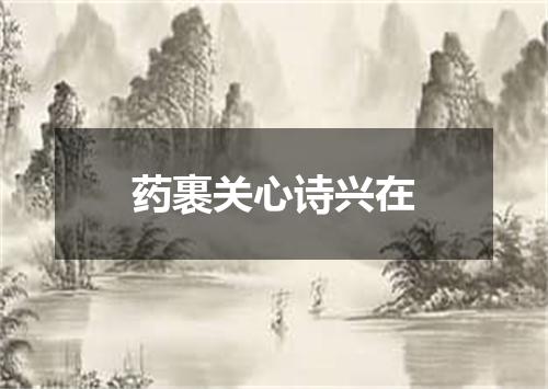 药裹关心诗兴在