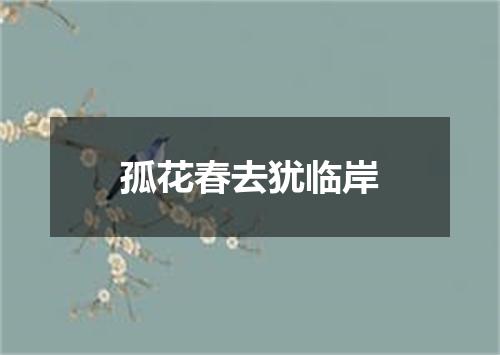 孤花春去犹临岸