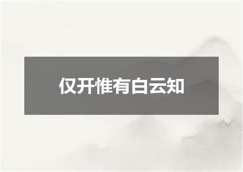 仅开惟有白云知