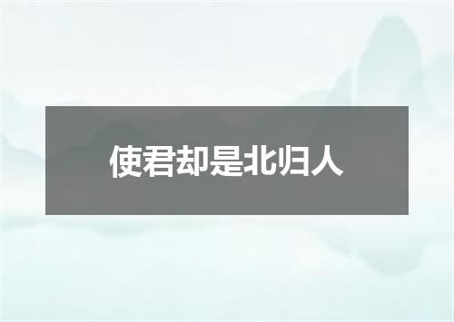 使君却是北归人