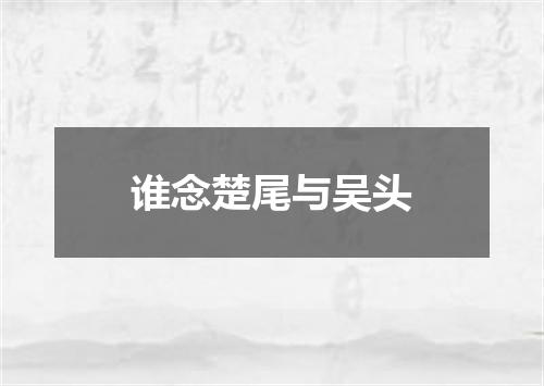 谁念楚尾与吴头