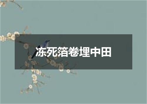 冻死箔卷埋中田