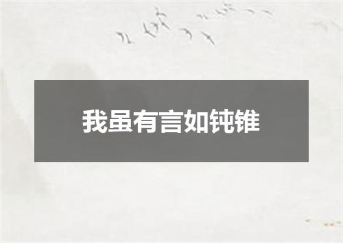 我虽有言如钝锥