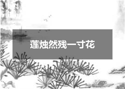 莲烛然残一寸花